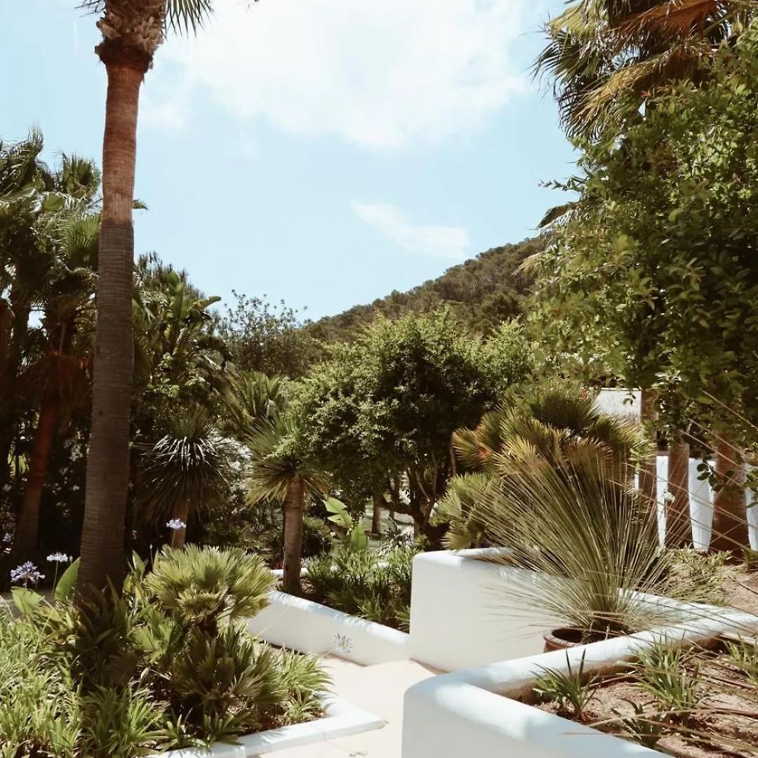 Hotel Pure House Ibiza Sant Jordi de ses Salines España
