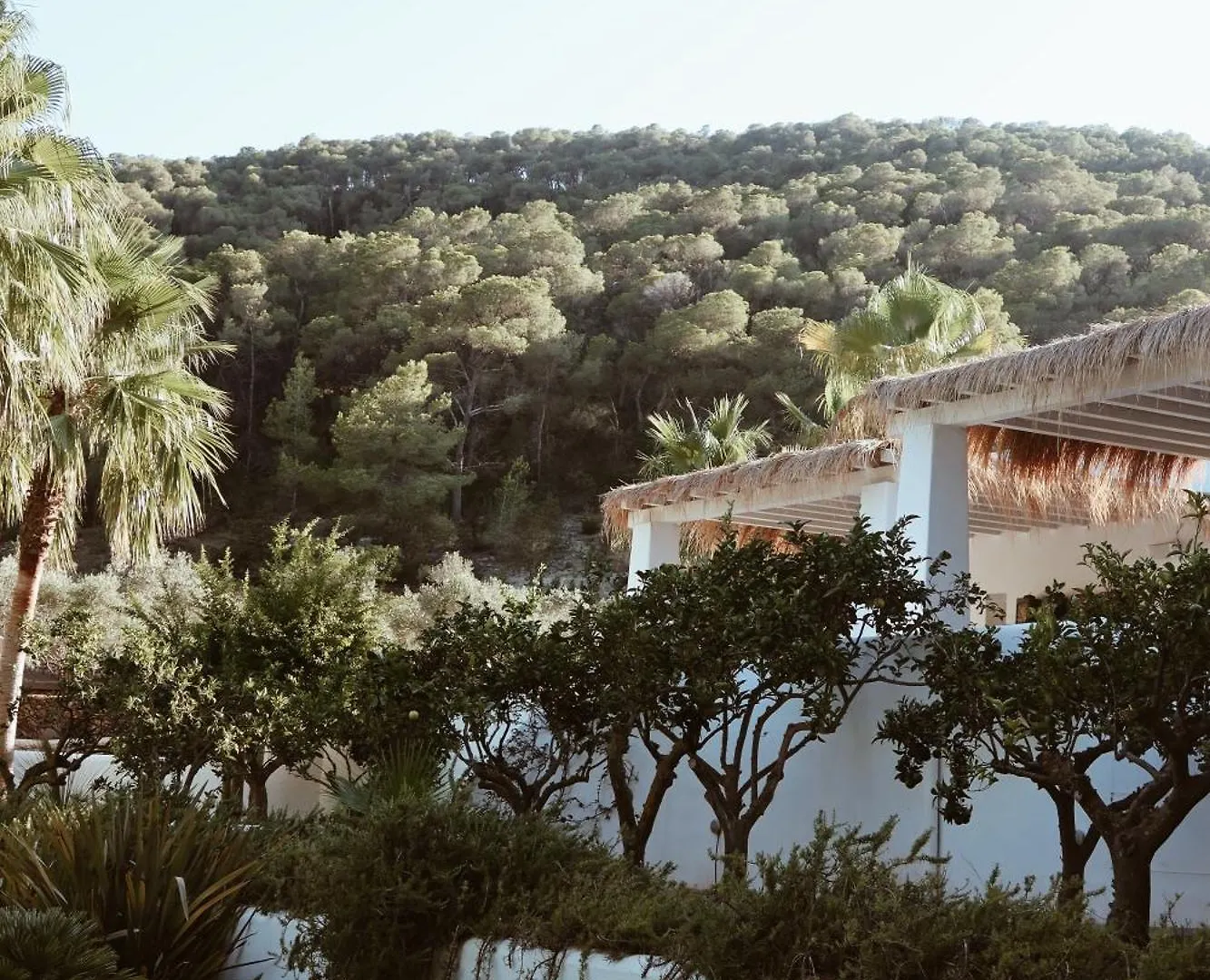 Hotel Pure House Ibiza Sant Jordi de ses Salines 0*,