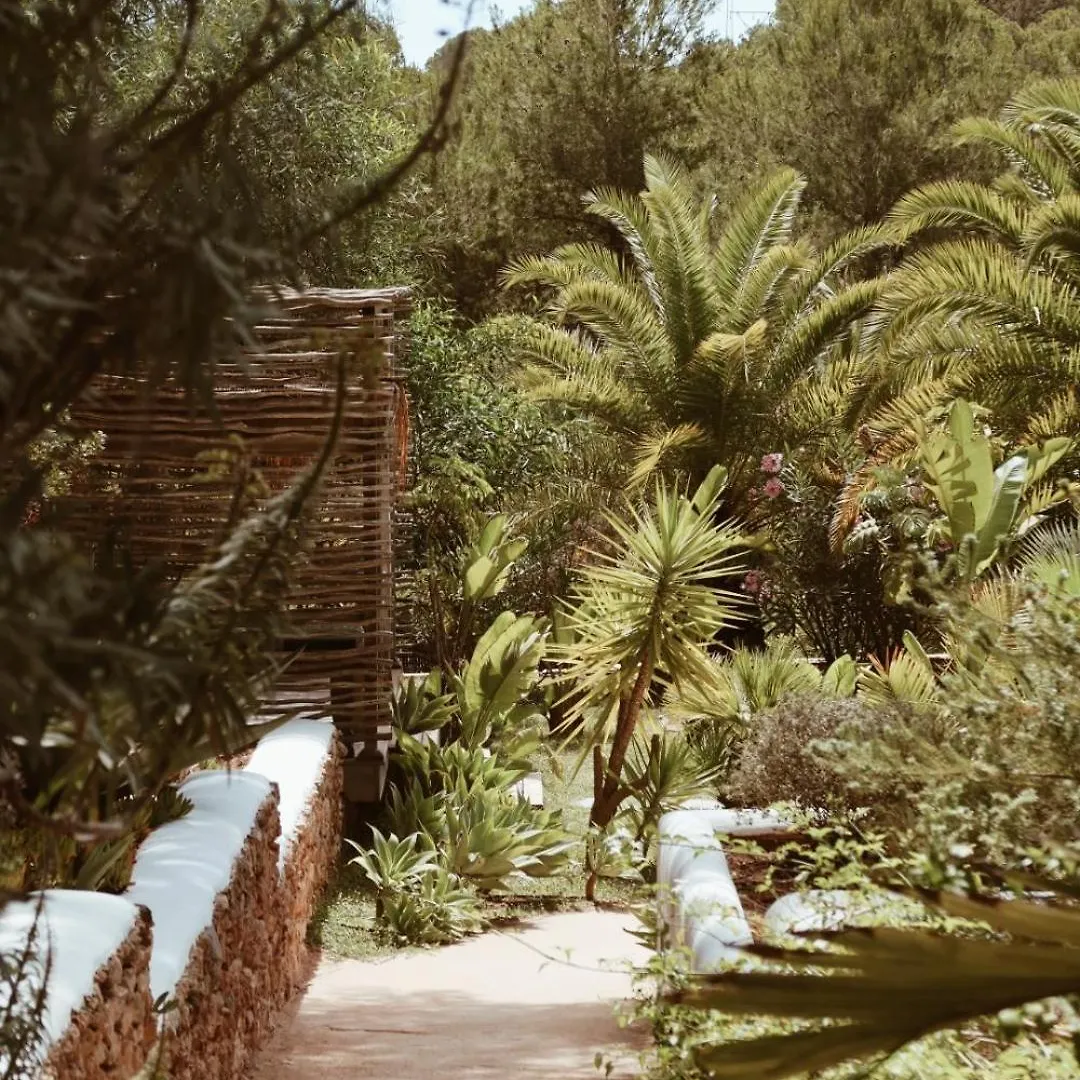 Hotel Pure House Ibiza à Sant Jordi de ses Salines Espagne